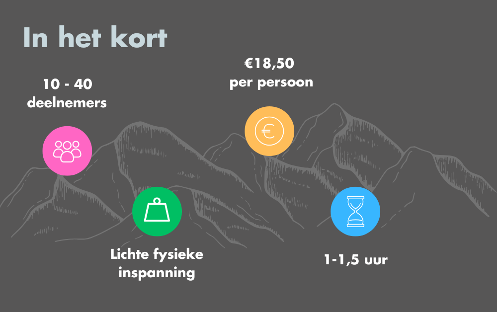 Boogschieten op locatie